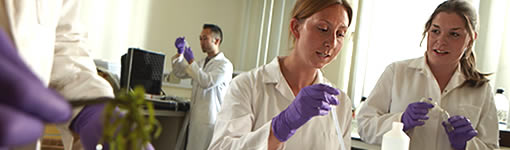 Postgraduate opportunities in Geography, Earth and Environmental Sciences