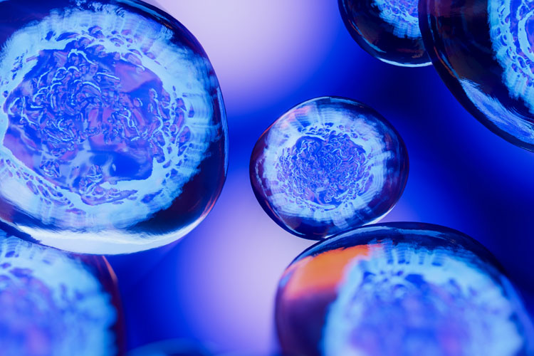 Cells