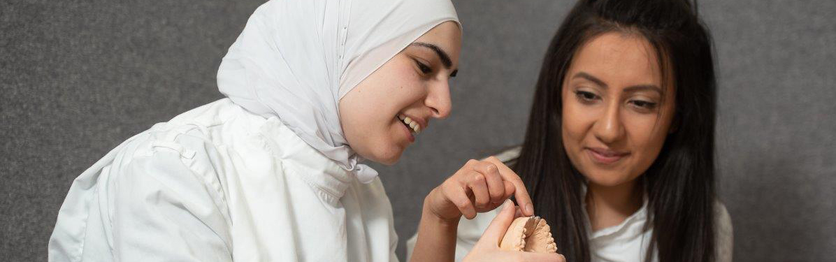 Two female students looking at a mouth model