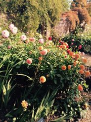 Winterbourne