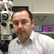 Dr Alexander Brill