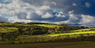 Landscape view of a green meadow on a sunny day.