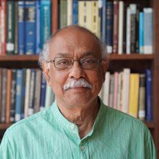 Professor Anindya Banerjee