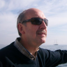 Professor Roy Harrison