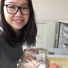 Dr Shan Huang