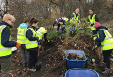 A group of students wearing fluorescent tabards clearing overgrown foliage from a canal towpath